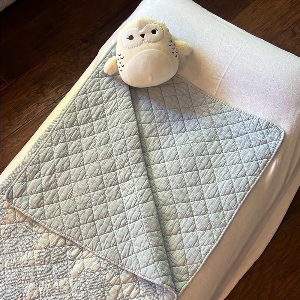 🩵Quilted Blue Nap Mat / Sleeping Bag